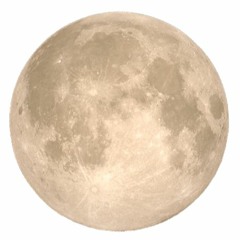 SOL(Sound of Love) Family