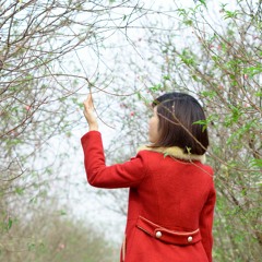 Suy nghi trong anh - Duy Khoa