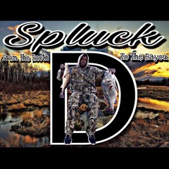 Spluck D