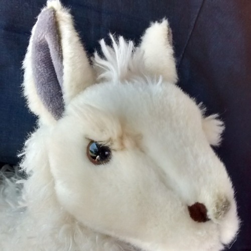 goffa stuffed llama