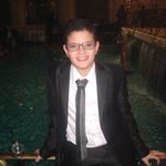 Ziad Hossam