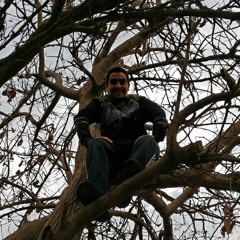 Osama Muharram