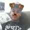 menor ryan