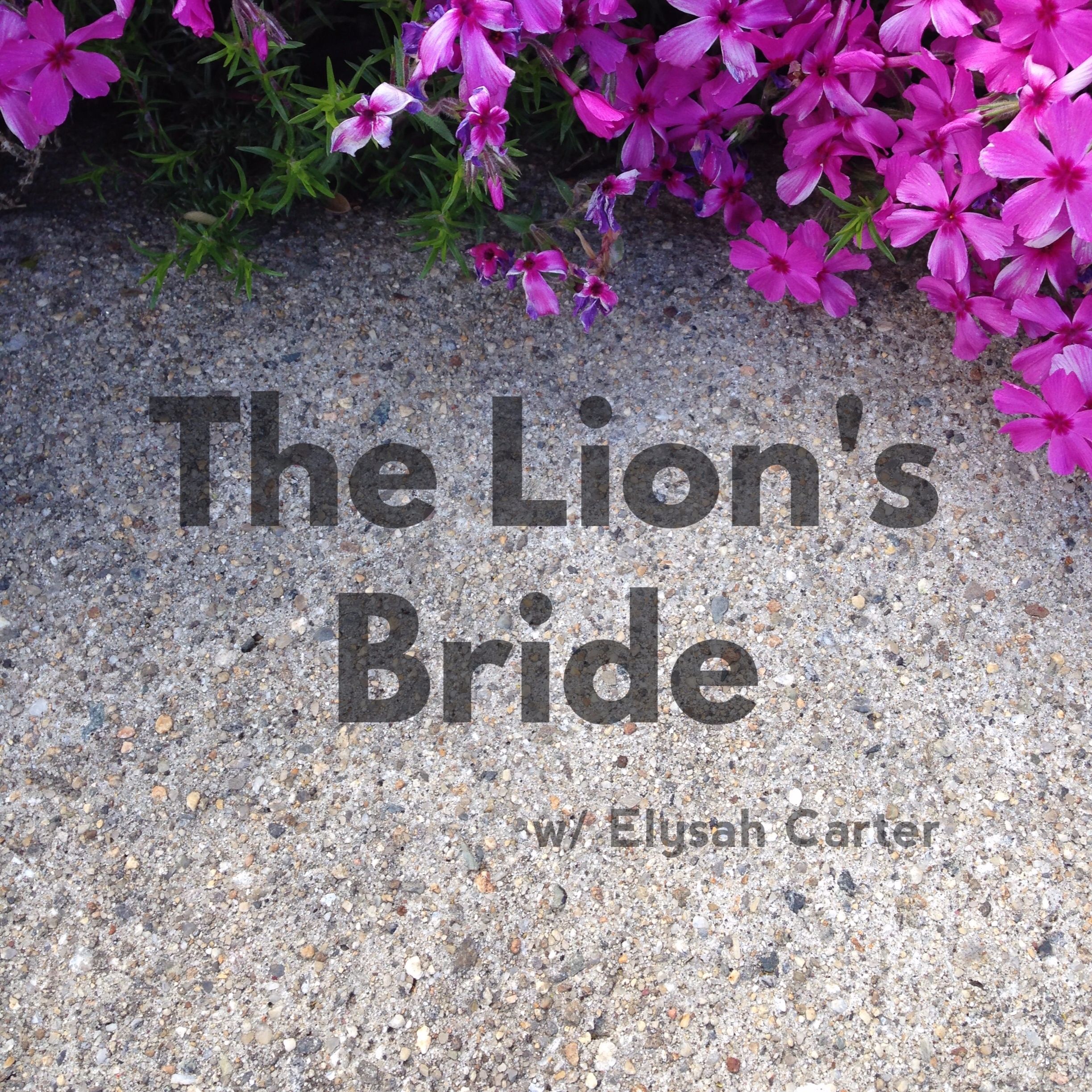 The Lion's Bride