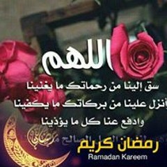 Khaled Abdin