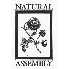 Natural Assembly