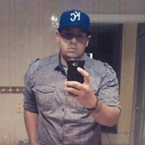 Sebastian Ramirez’s avatar