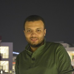 Mohammed S. Naaom