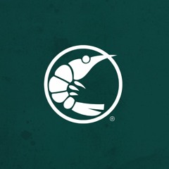 Pink Shrimp Records Repost