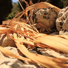 clifton14