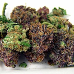 Kingsway Weeds