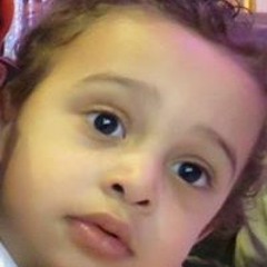 نموله مصرية