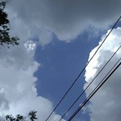 Michael Waller Waller