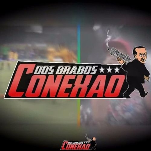 CONEXÃO DOS BRABOS 2’s avatar
