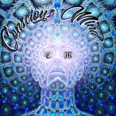 Conscious Mind