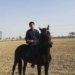 Rana Hamza Mumtaz Khan