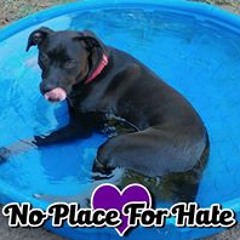 Julia Saldivar-Johnston