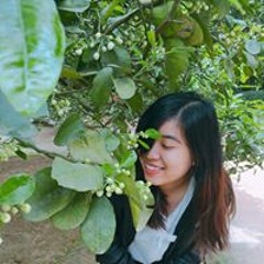 Thảo Nguyễn