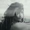 Shaima Yehya