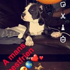 Carlos Charlie Escamilla