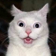 Pokemaster Is Awesome