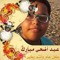 Ahmed Kamel