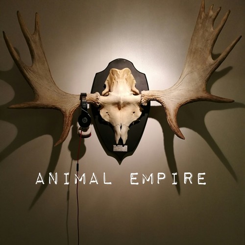 AnimalEmpire’s avatar
