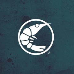 Pink Shrimp Records Repost 2