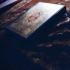 Ahmad Alsheshtawy Mamdoh