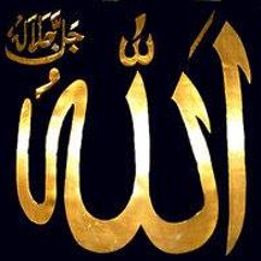 Alaa Ezz Ghaly