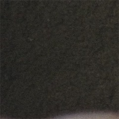 north
