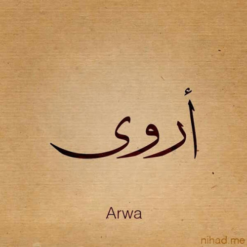 arwa eltayip’s avatar