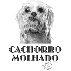 Cachorro Molhado