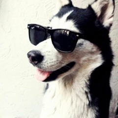 Grégori Machado Nunes