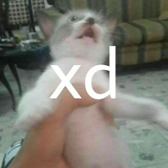 Jedo Man