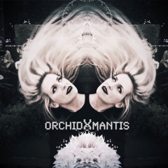 OrchidXMantis