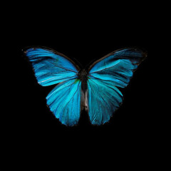 Triantafillos Abatzoglou