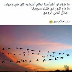 Rahma Hossam Abdelrahman