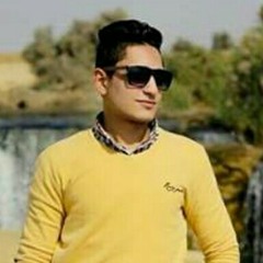 Anas hamdy