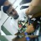 Matheus Araujo