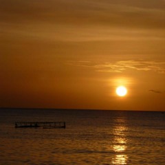 Sébastien Pelegrin - Guitarist / Composer