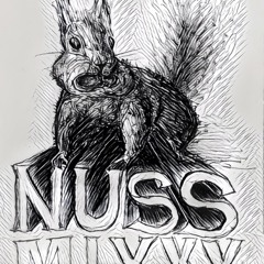 NussMixxx - Podcast