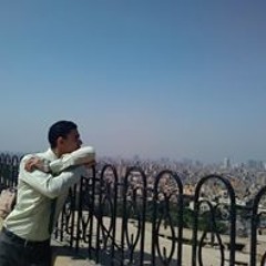 Eng Mohammed Shawkey
