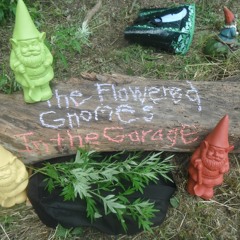 The Flowered Gnomes