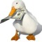 User 25366000