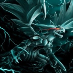 Zekrom AO