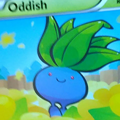 Odd Oddishs