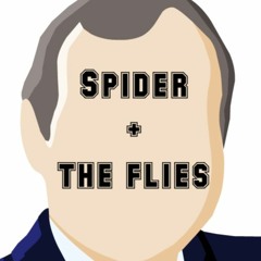 Spider + the flies