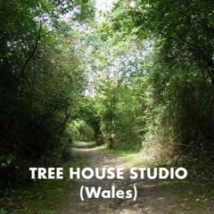 Tree House Studio (Wales)