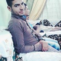 حازم أحمد محمود